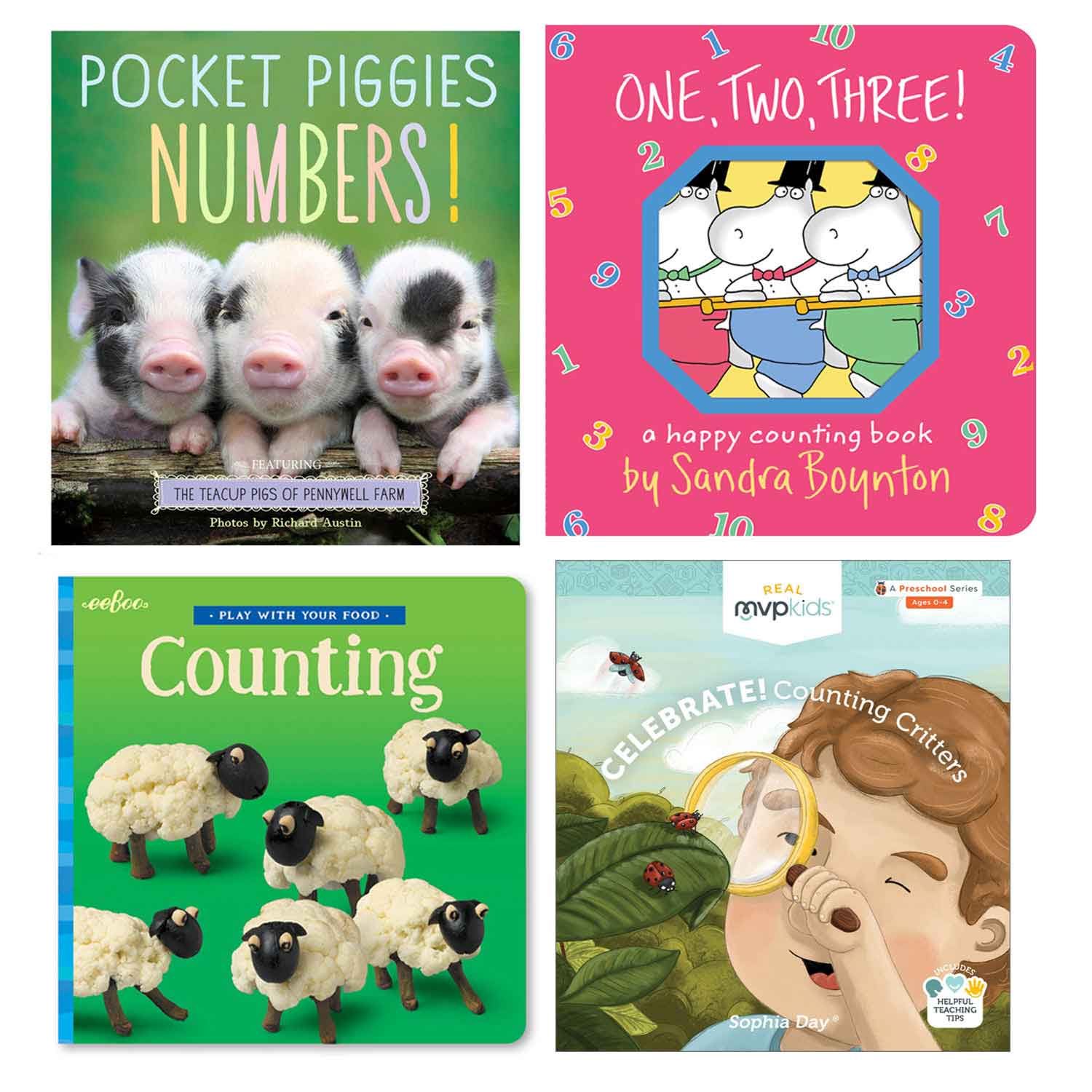 Number Picture Board Book Set | Becker's School Supplies