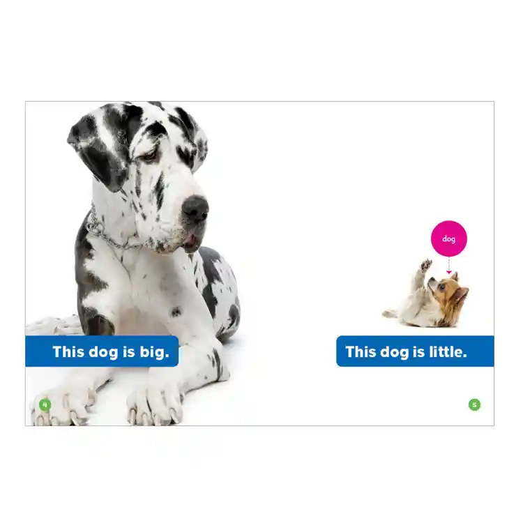 Opposites Board Book Set