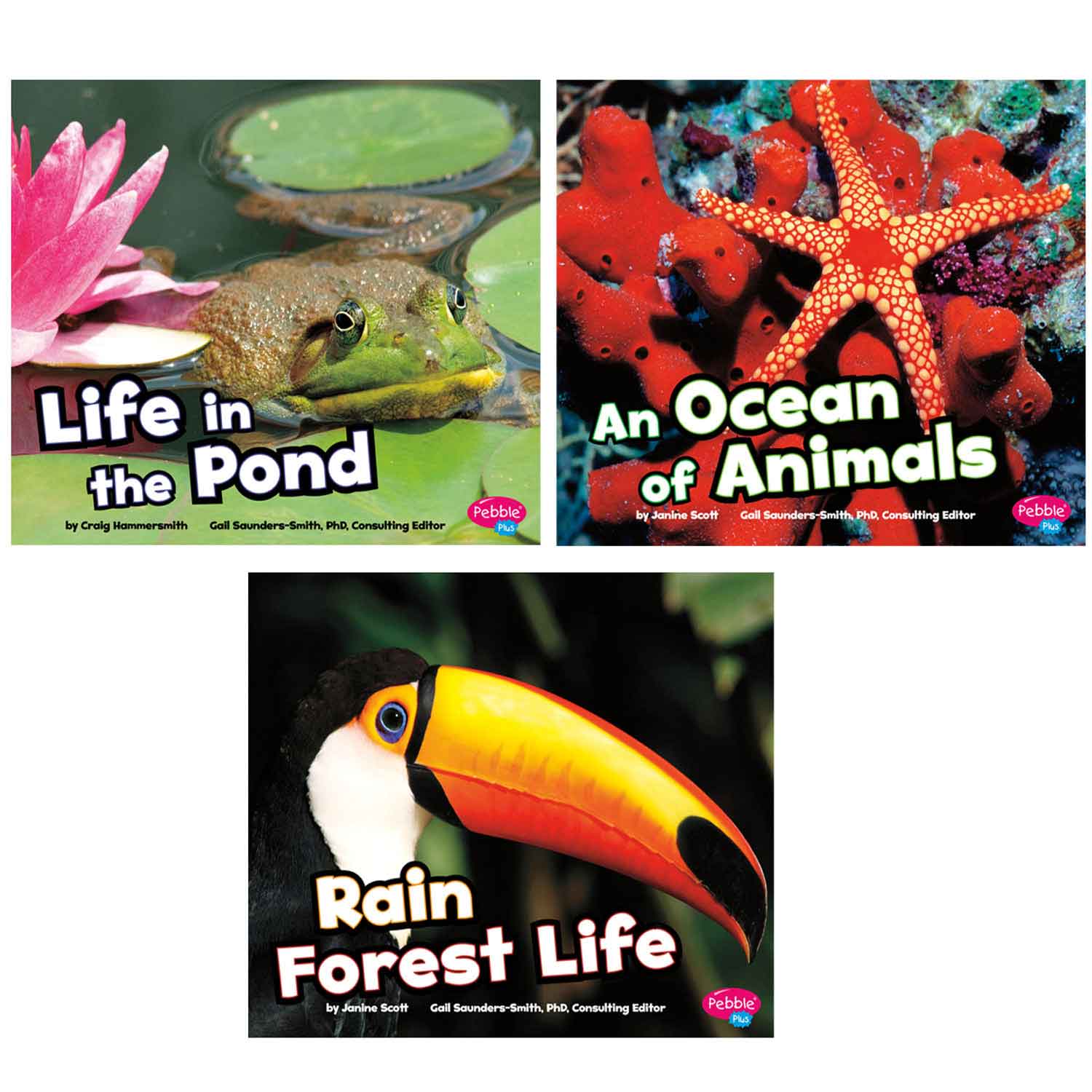 Habitats Around the World 4 Book Set Becker's