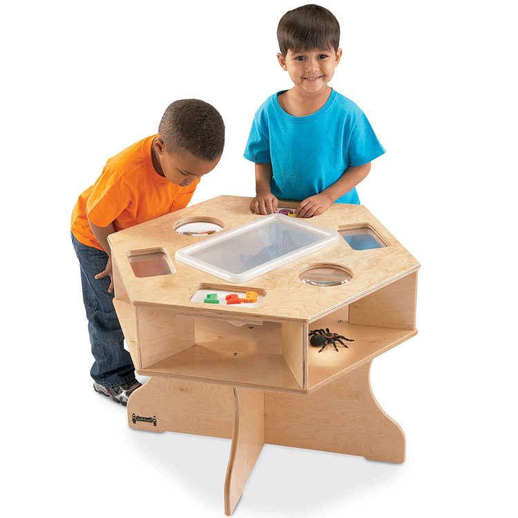 Science Activity Table
