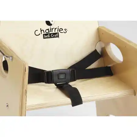 Seat Belt For High Chairries