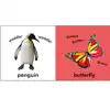 Baby Touch & Feel Board Book Set