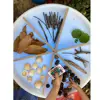 Sensory Mood Discovery Table
