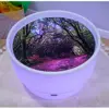 Sensory Mood Discovery Table Set