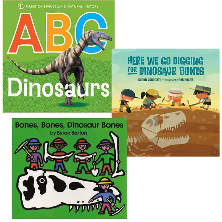 Dinosaur Book Set