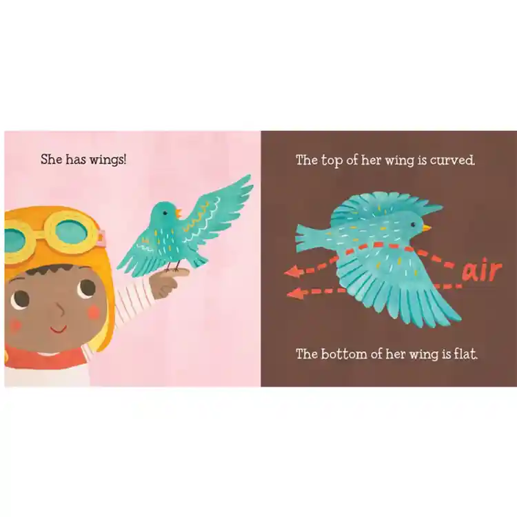 Baby Loves Science Board Book Set
