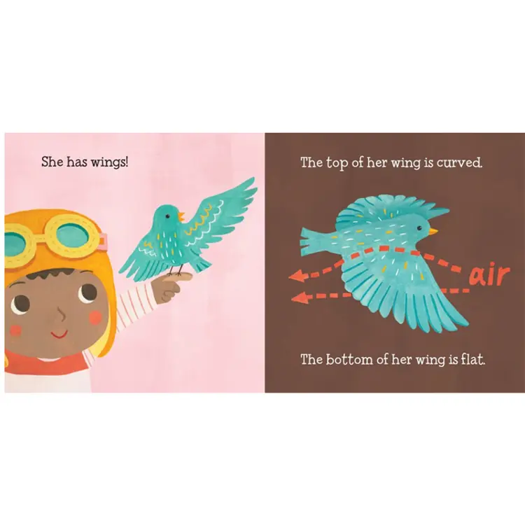 Baby Loves Science Board Book Set