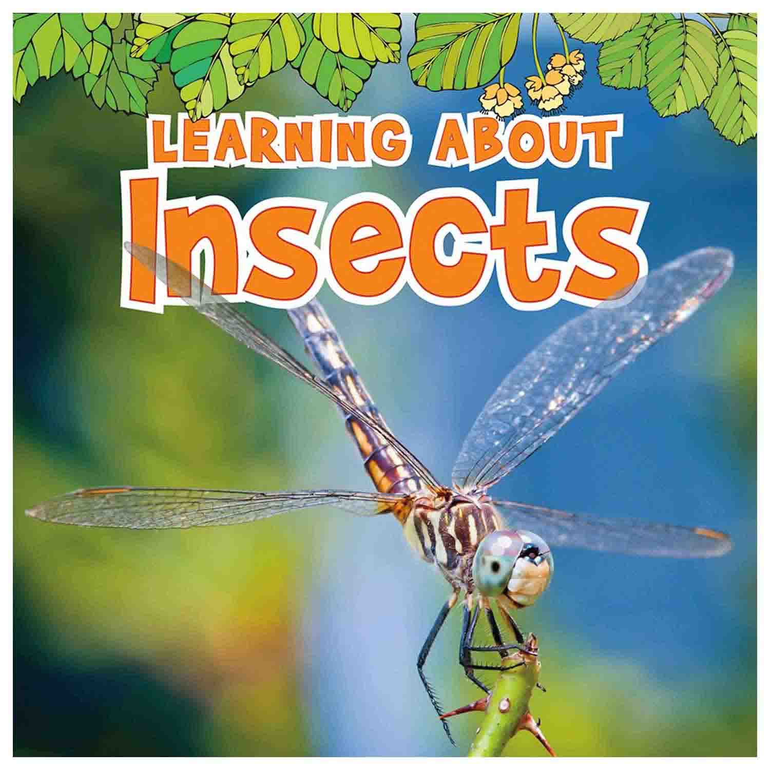 Insect Learning Pathway Learning About Insects | Book About Insects for Preschool | Becker's