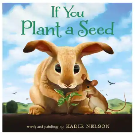 If You Plant a Seed