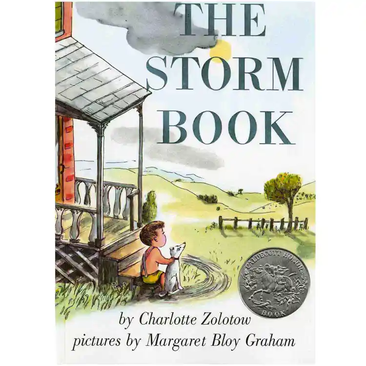 The Storm Book