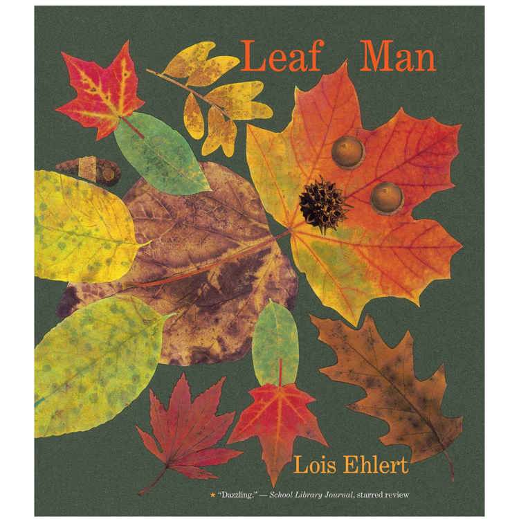 Leaf Man Big Book