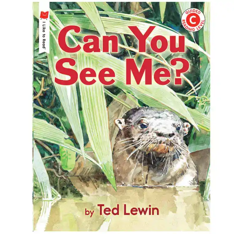Can You See Me?