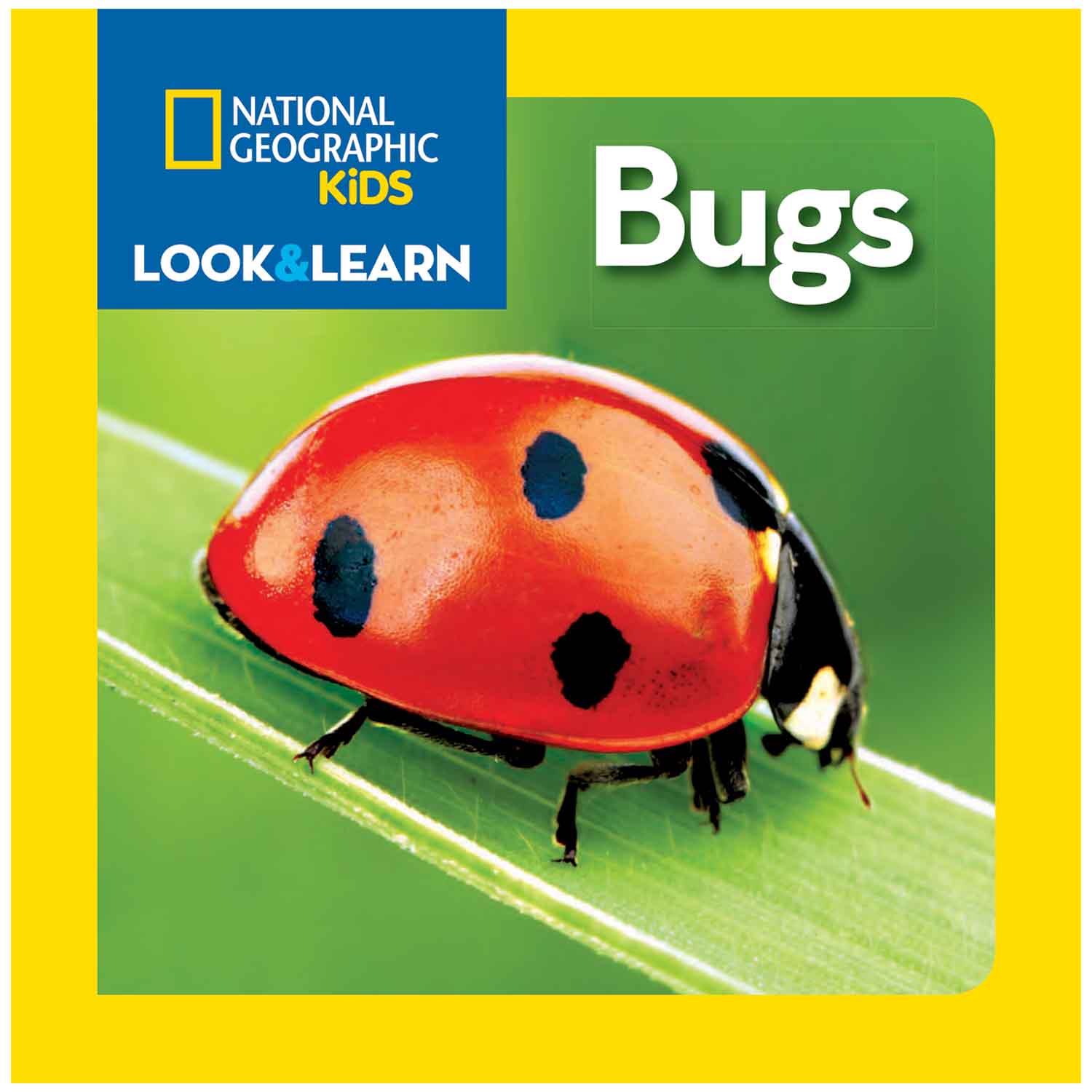 National Geographic Look & Learn: Bugs Board Book