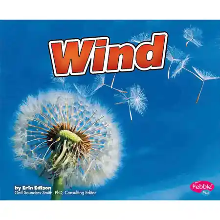 Wind