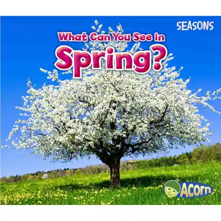 What Can You See in Spring?