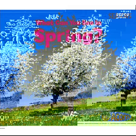 What Can You See in Spring?
