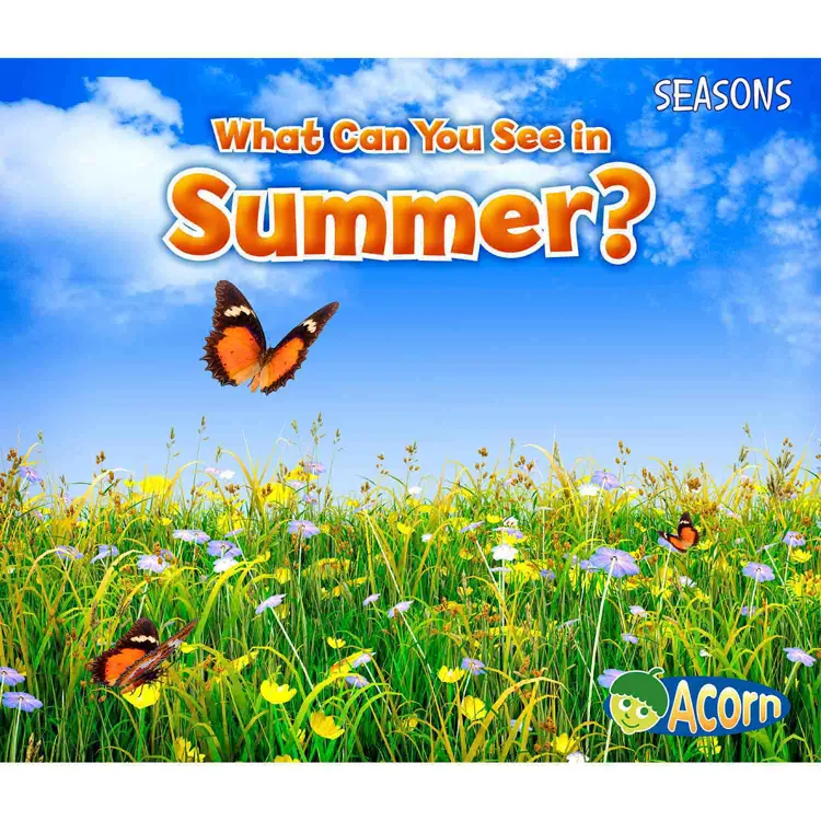What Can You See In Summer?