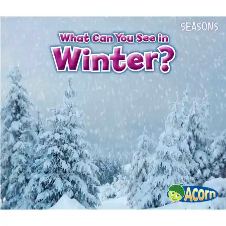 What Can You See in Winter?