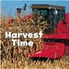 Celebrate Fall: Harvest Time