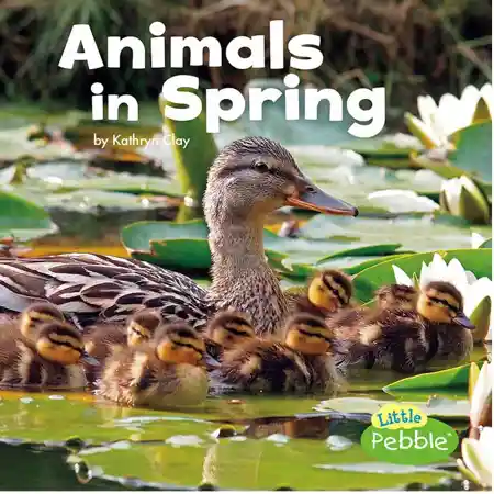 Animals in Spring