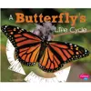 A Butterfly's Life Cycle