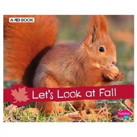 Let's Look at Fall