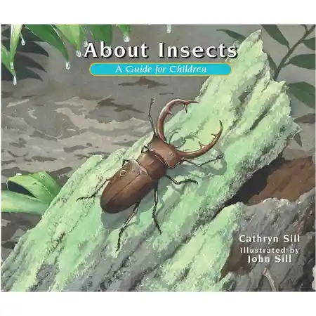 About Insects: A Guide for Children