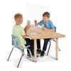 See-Thru Table Divider Shields
