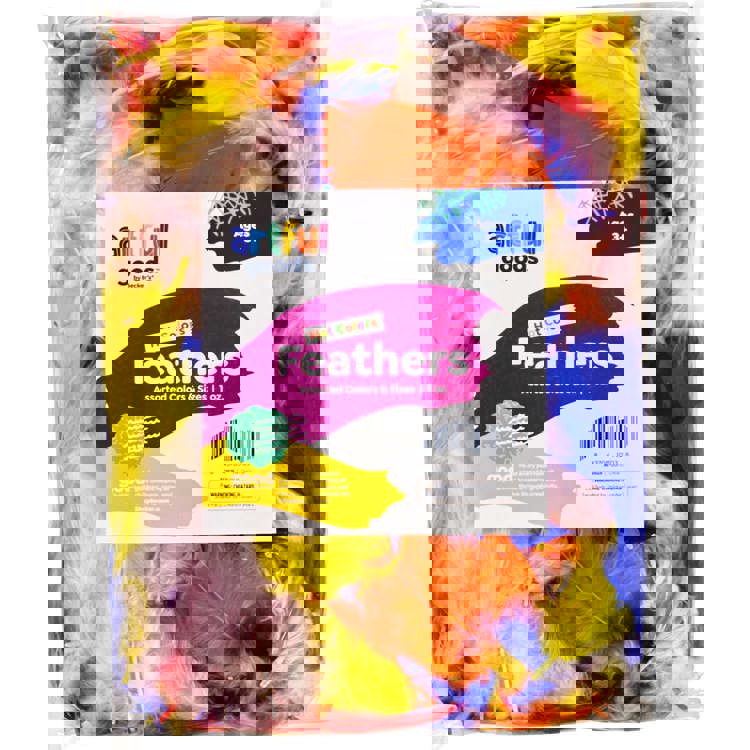 Artful Goods® Feathers, Hot Colors