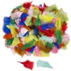 Artful Goods® Feathers, Bright Colors 1 oz