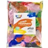 Artful Goods® Feathers, Bright Colors 1 oz