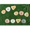 Alphabet Pebbles, Word Building Set