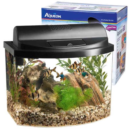 Classroom Aquarium Kit