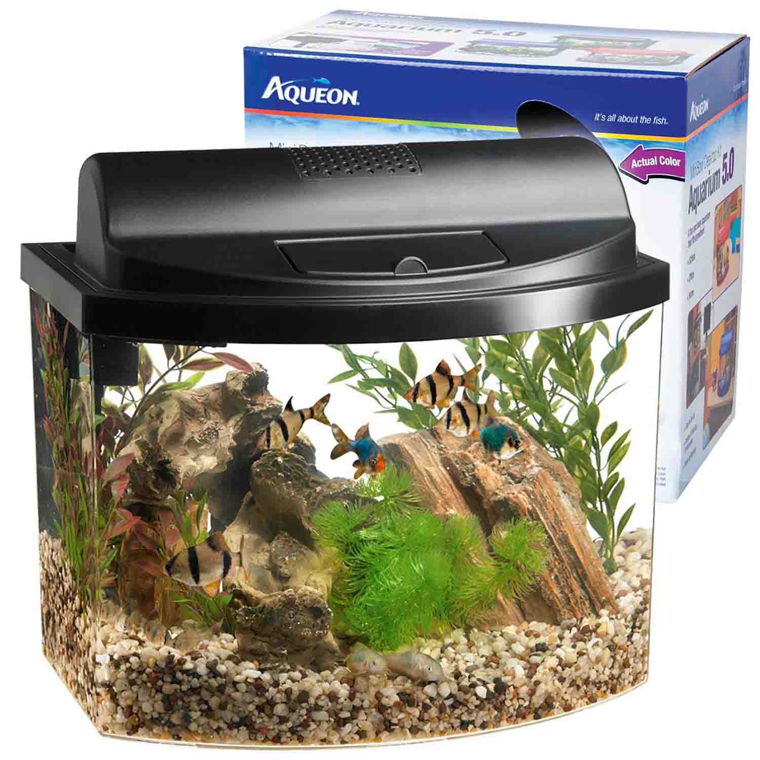 Classroom Aquarium Kit Becker's School Supplies