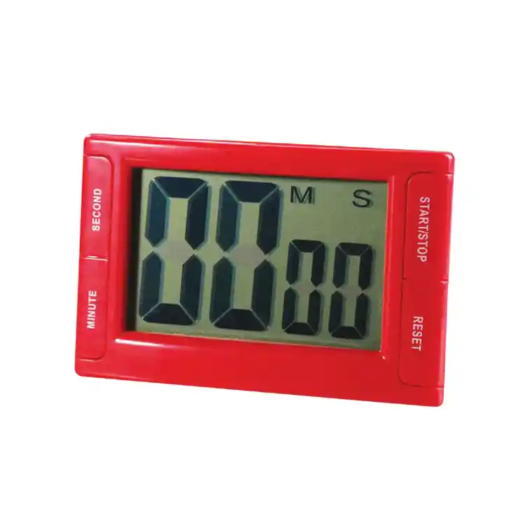 Digital Timer
