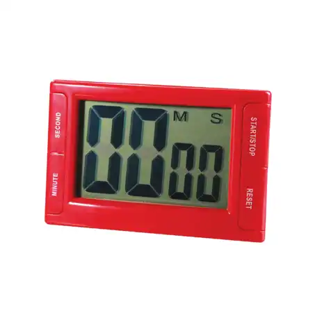 Digital Timer