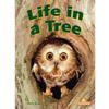 Life In A Tree Big Book & Guide