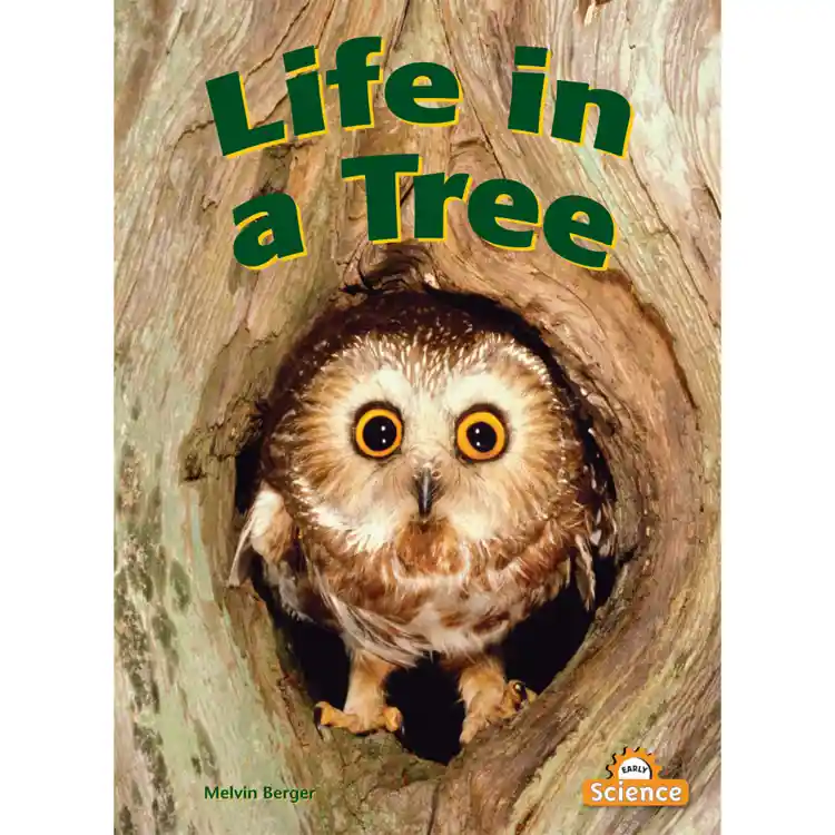 Life In A Tree Big Book & Guide