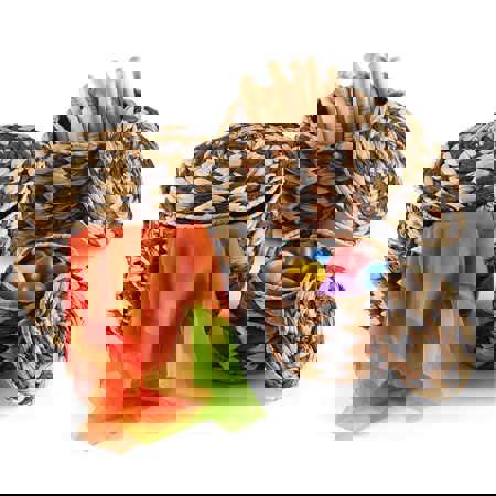 Woven Zebra Pots