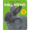 Baby Animals Touch & Feel Board Book