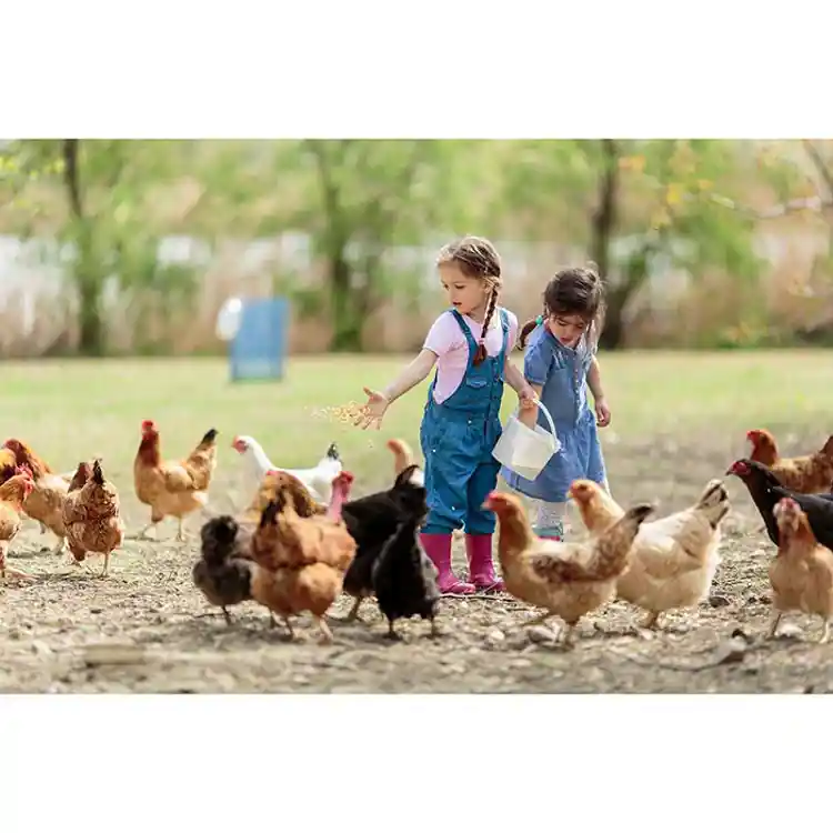 Becker's Infant & Toddler Posters: Let's Talk!