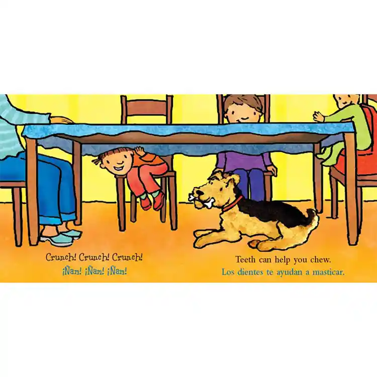 Best Behavior Bilingual Board Book Set