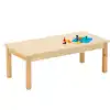 Birch Activity Tables, Rectangle 24" x 48" x 12"