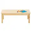 Birch Activity Tables, Rectangle 24" x 48" x 21"