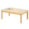 Birch Activity Tables, Rectangle 30" x 48" x 24"