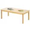 Birch Activity Tables, Rectangle 30" x 60" x 14"