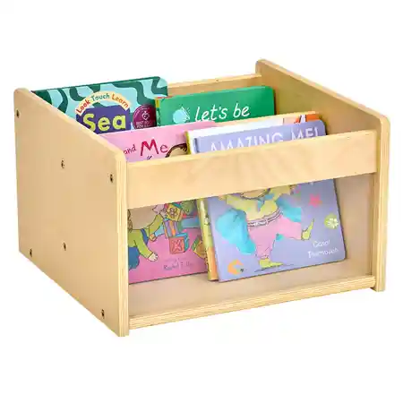 Look & See Book Bin