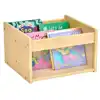Look & See Book Bin