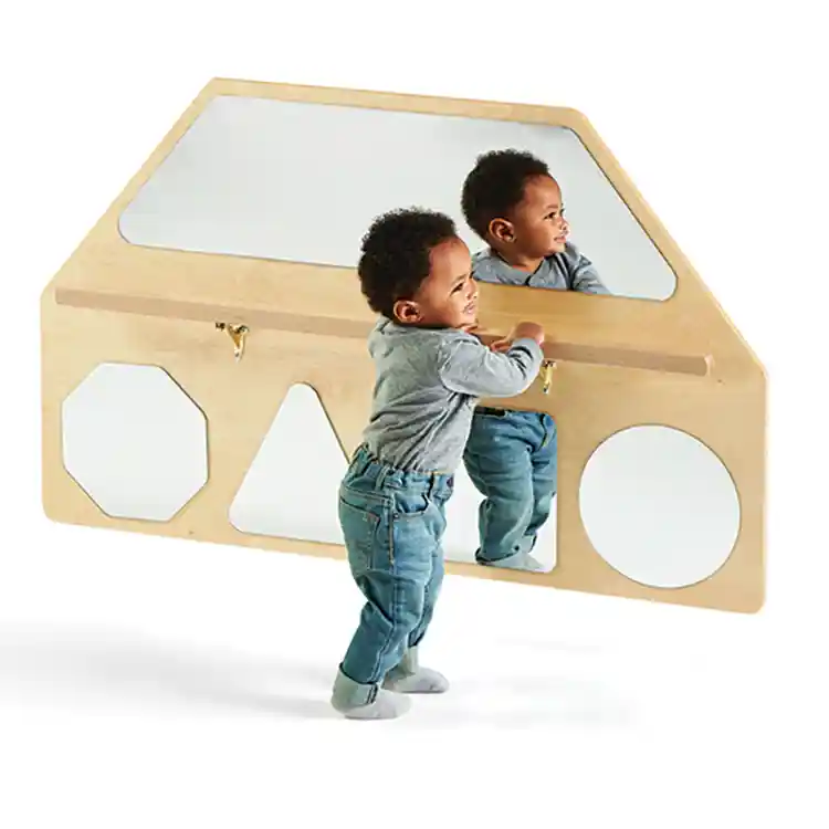 Wall Mirror Shapes with Pull-Up Bar, Exposed Hardware