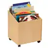 Big Book Storage Bin
